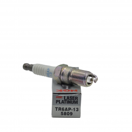 Свеча зажигания NGK TR6AP13 5809