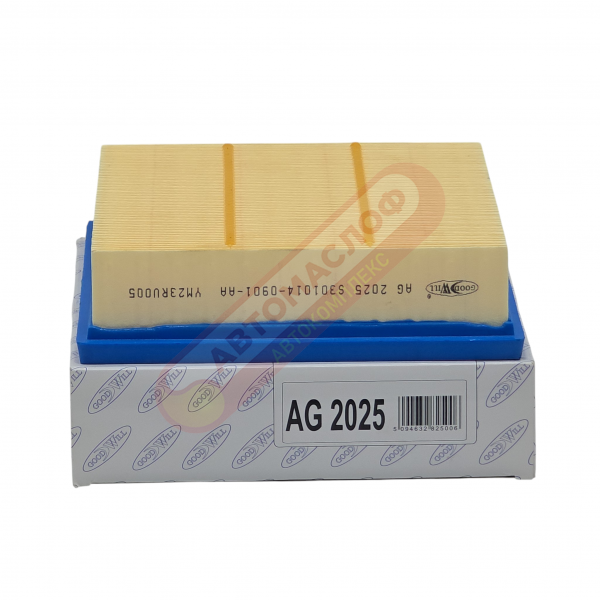 ФВ GOODWILL AG2025