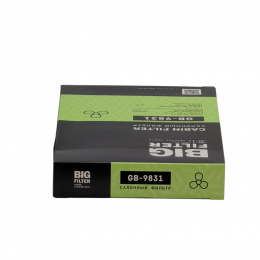 BIG FILTER GB9831