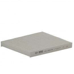 BIG FILTER GB98038