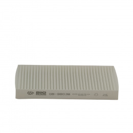BIG FILTER GB98038